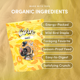 Organic Corn Kernels