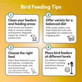 Organic Corn Kernels