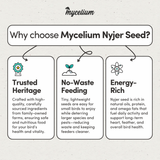 Organic Nyjer Seed
