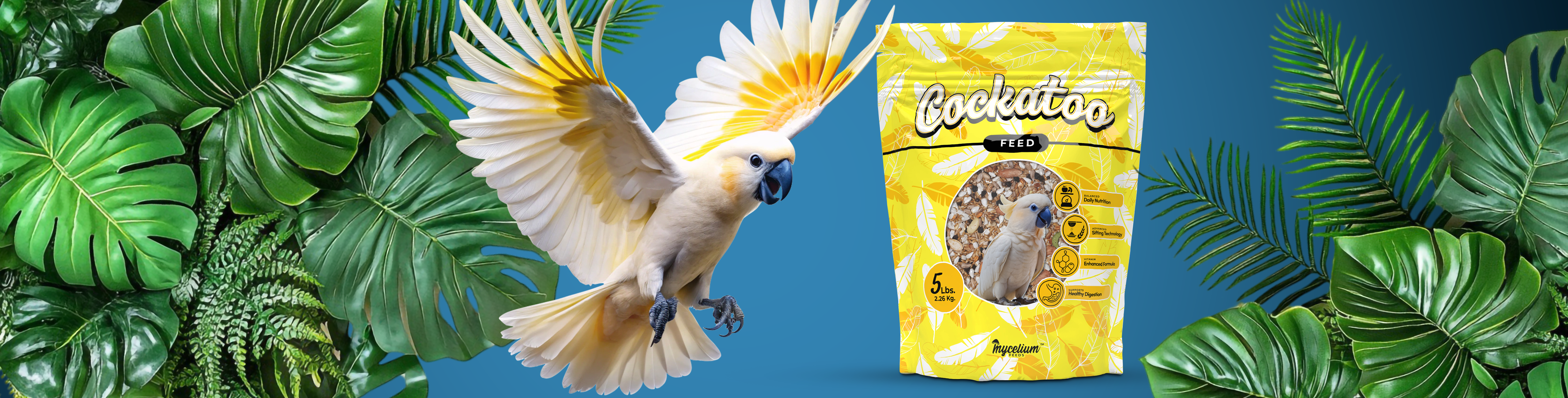 Bold Birds Deserve Bold Feed